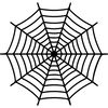 spiderweb-20.jpg