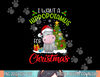 I Want A Hippopotamus For Christmas Xmas Hippo for Kid Women  png,sublimation.jpg