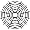 spiderweb-34.jpg