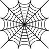 spiderweb-37.jpg