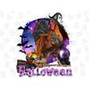 MR-2672023123626-halloween-witch-rooster-png-sublimation-design-halloween-image-1.jpg