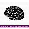 MR-2772023111042-brain-svg-brain-clipart-human-brain-svg-mind-svg-anatomy-image-1.jpg
