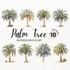 MR-2772023142355-palm-tree-clipart-watercolor-tropical-tree-png-junk-image-1.jpg