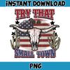 Try That In A Small Town Png, Cow Skull Small Town Png, Retro Country Shirt Png, Country Music, American Flag, Instant Download (13).jpg