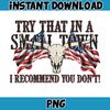 Try That In A Small Town Png, Cow Skull Small Town Png, Retro Country Shirt Png, Country Music, American Flag, Instant Download (16).jpg