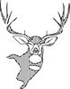 Deers-Head vector file.jpg
