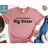 MR-78202315119-only-child-big-sister-shirt-big-sister-announcement-shirt-image-1.jpg