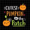 MR-882023155535-the-cutest-pumpkin-in-the-patch-svg-pumpkin-halloween-svg-image-1.jpg