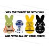 MR-1082023101942-easter-bunny-space-heroes-png-inspired-by-jedi-darth-vader-image-1.jpg