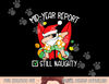 Funny Christmas in July mid-year report still naughty png, sublimation copy.jpg