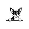 MR-11820231600-peeking-chihuahua-svg-peeking-chihuahua-clipart-peeking-image-1.jpg