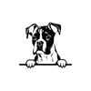 MR-1182023201342-peeking-boxer-svg-peeking-boxer-clipart-peeking-boxer-dog-image-1.jpg