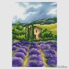 Lavender_field.jpg