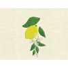 MR-148202314282-machine-embroidery-design-lemon-with-blooms-fruit-kitchen-image-1.jpg