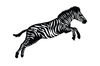 Zebra-svg-zebra-dxf-zebra-png-Cricut-Graphics-34414000-3-580x387.jpg