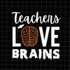 MR-1582023171032-teachers-love-brains-svg-funny-teacher-halloween-svg-school-image-1.jpg