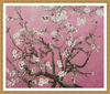 Pink Almond Blossom2.jpg