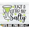 MR-198202381032-just-a-little-bit-salty-funny-cinco-de-mayo-shirt-svg-image-1.jpg