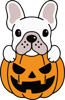 pumpkin frenchie 2.png