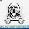 MR-2282023231741-pitbull-svg-american-pit-bull-svg-pitbull-clipart-pitbull-image-1.jpg