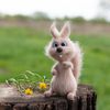 Squirrel Amigurumi pattern