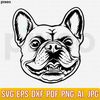 MR-24820231378-french-bulldog-svg-frenchie-svg-french-bulldog-clipart-image-1.jpg