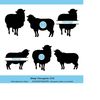 MR-248202323483-sheep-svg-cut-file-sheep-monogram-svg-farm-animals-svg-image-1.jpg