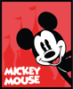 21_mouse_frame_red_castle.png