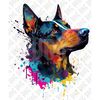 MR-268202319114-australian-kelpie-dog-png.jpg