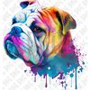 MR-2682023191847-english-bulldog-png.jpg