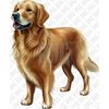 MR-2682023192337-golden-retriever-dog-png.jpg