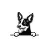 MR-278202385543-peeking-rat-terrier-svg-peeking-rat-terrier-clipart-peeking-image-1.jpg