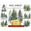 MR-2782023115830-set-of-16-watercolor-forest-tree-clipart-pine-tree-png-image-1.jpg