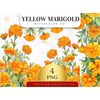 MR-278202317203-set-of-4-watercolor-yellow-marigold-clipart-floral-png-image-1.jpg