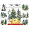 MR-278202318740-set-of-16-watercolor-forest-tree-clipart-pine-tree-png-image-1.jpg
