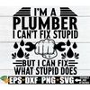 MR-2982023185148-im-a-plumber-i-cant-fix-stupid-but-i-can-fix-what-image-1.jpg