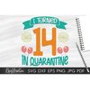 MR-3082023114537-i-turned-14-in-quarantine-svg-file-cutting-machines-cricut-image-1.jpg