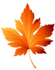 Leaves (10).png