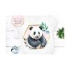 MR-692023131612-panda-sublimation-png-watercolor-panda-png-jpg-panda-bear-image-1.jpg