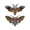 MR-892023111519-mysterious-death-head-moth-embroidery-designs-bundle-image-1.jpg