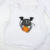 flying spider with pupmkin - t-shirt print.jpg