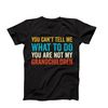 You Cant Tell Me What To Do You're Not My Grandchildren, Fathers Day Gift From Grandchildren, Funny Grandpa Shirt, Gift For Grandpa, Papa.jpg