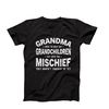 Funny Grandma T-Shirt, Grandma Here To Help My Grandchildren Get Into Mischief Shirt, Grandma Mischief Shirt, Funny T-Shirt Gift For Grandma.jpg
