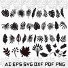 MR-1292023212946-leaves-svg-jungle-leaves-svg-palm-jungle-svg-monstera-fall-image-1.jpg