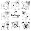 MR-139202321181-bulldog-svg-bundle-dog-svg-cut-files-for-cricut-and-laser-image-1.jpg