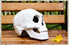 skull helmet-photo_1200px.jpg