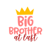 Big-Brother-at-Last.png