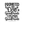 MR-1492023194352-promoted-from-dog-grandparent-baby-shower-gift-image-1.jpg