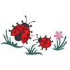 Ladybug .jpg