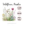 MR-1792023113552-wildflower-meadow-clipart-bundle-watercolor-spring-flowers-image-1.jpg